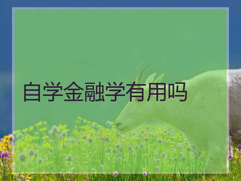 自学金融学有用吗
