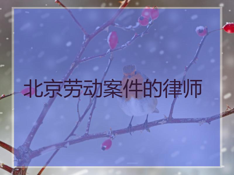 北京劳动案件的律师