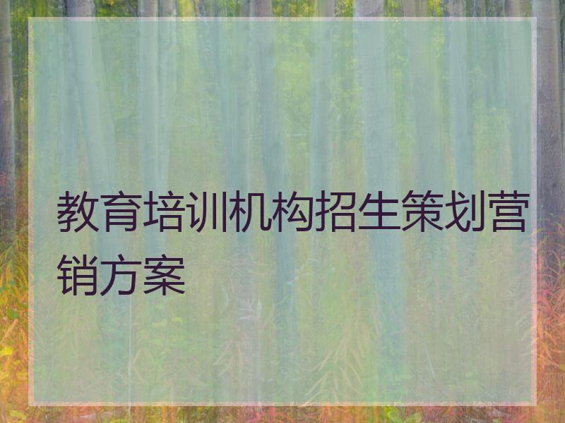 教育培训机构招生策划营销方案