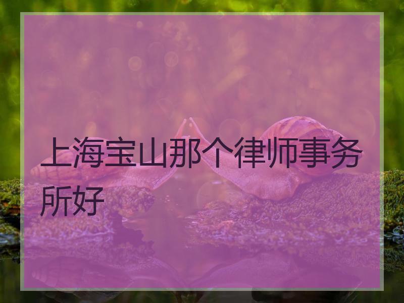 上海宝山那个律师事务所好