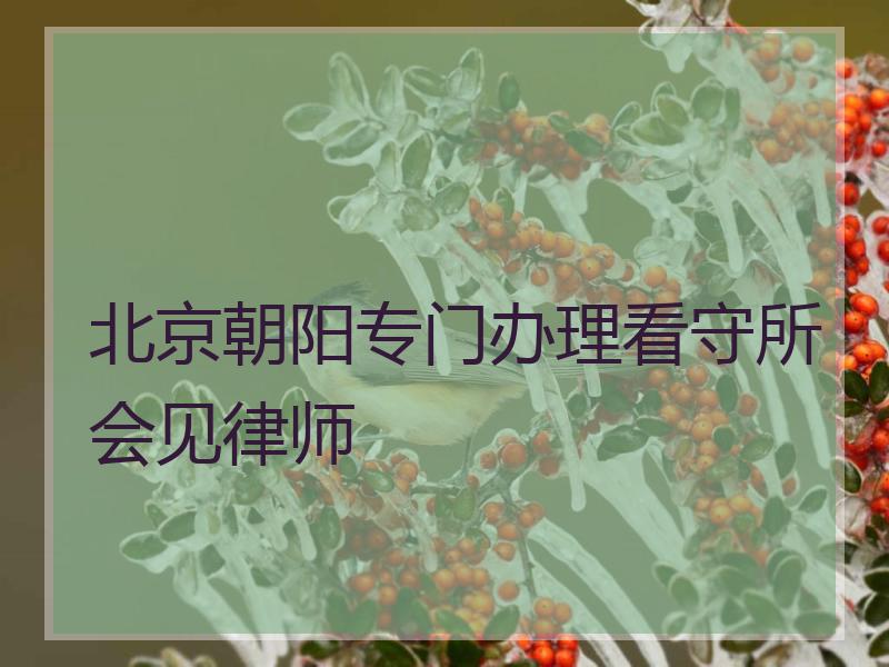 北京朝阳专门办理看守所会见律师