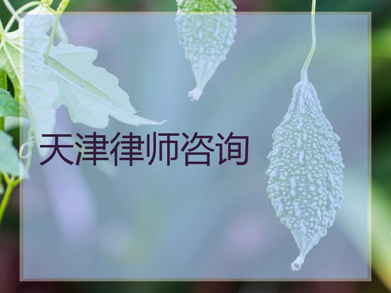 天津律师咨询