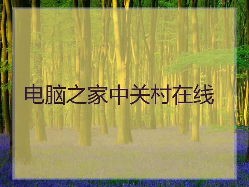 电脑之家中关村在线