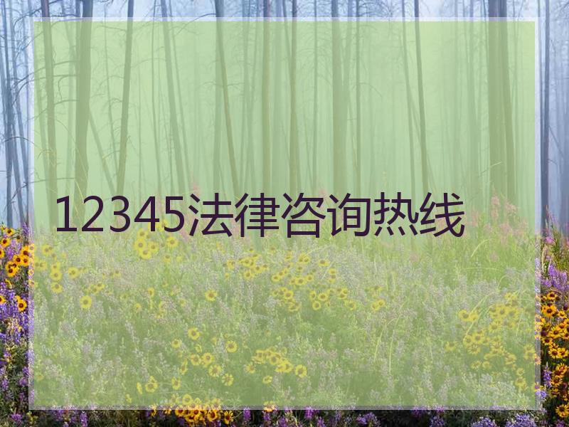 12345法律咨询热线
