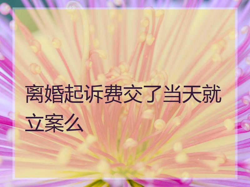 离婚起诉费交了当天就立案么