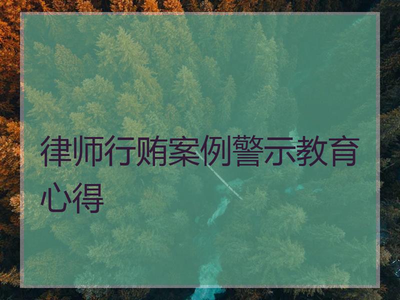 律师行贿案例警示教育心得