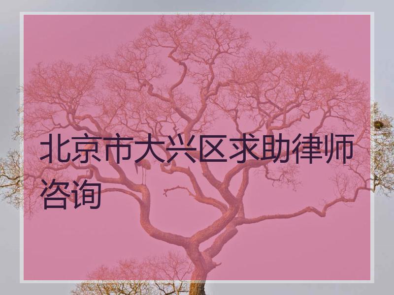 北京市大兴区求助律师咨询