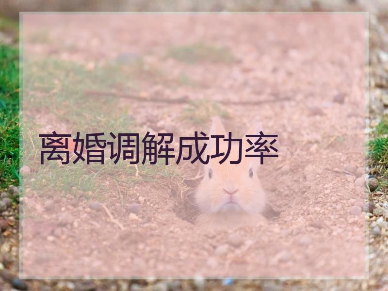 离婚调解成功率