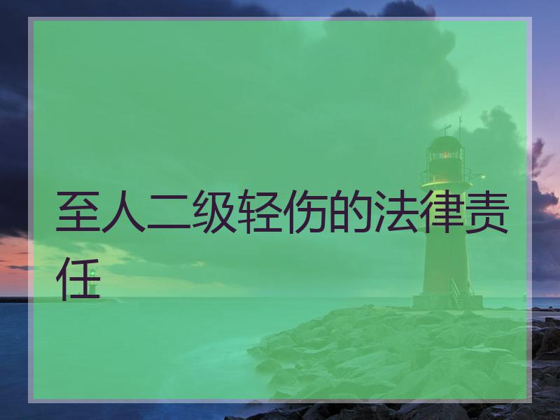 至人二级轻伤的法律责任