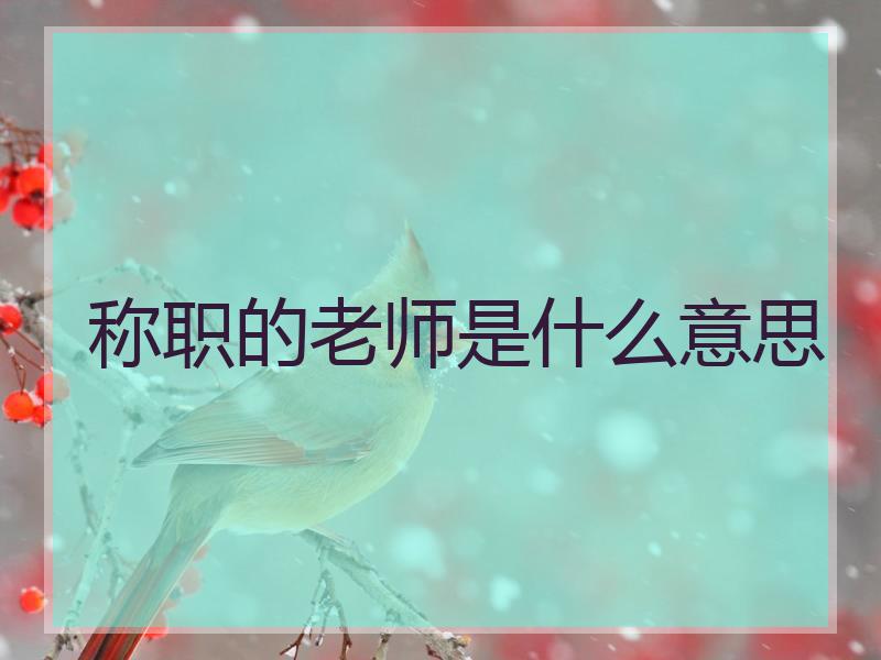 称职的老师是什么意思