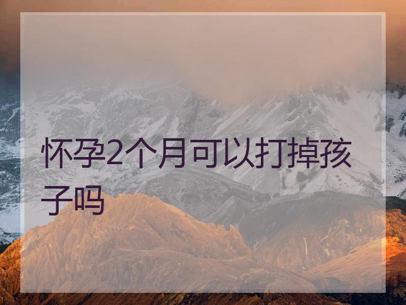 怀孕2个月可以打掉孩子吗