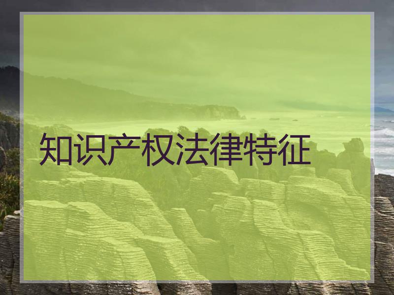 知识产权法律特征