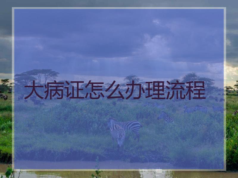 大病证怎么办理流程