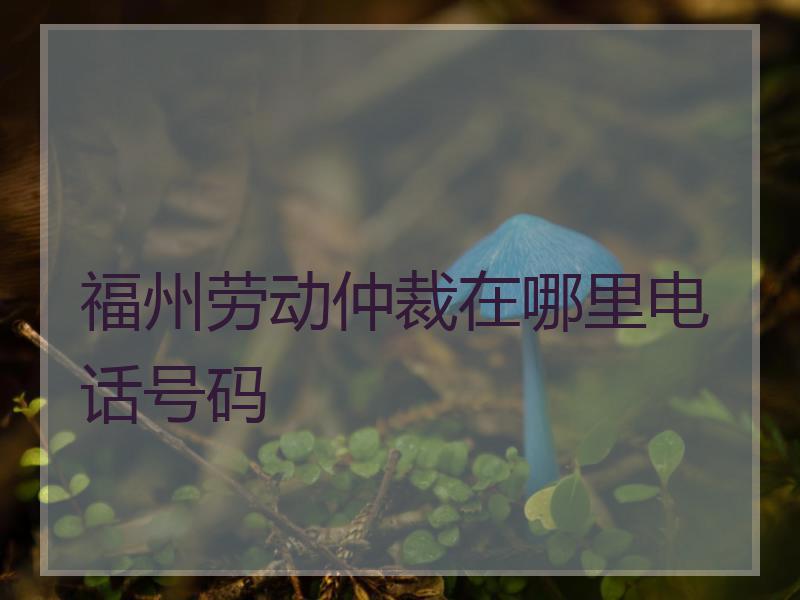 福州劳动仲裁在哪里电话号码