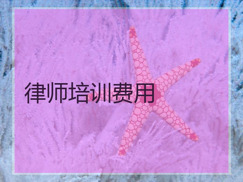 律师培训费用 律师培训费用