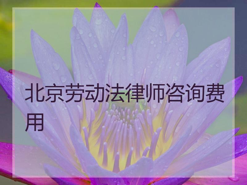 北京劳动法律师咨询费用