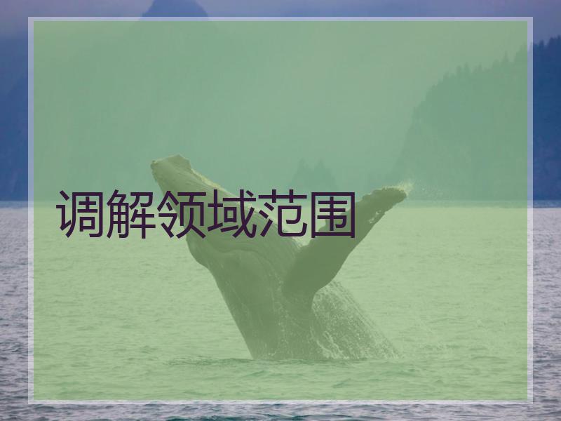 调解领域范围