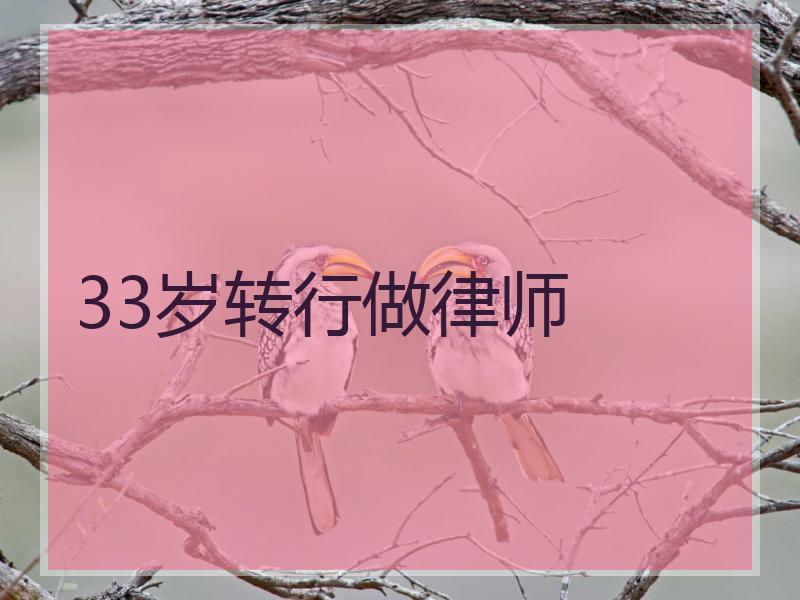 33岁转行做律师