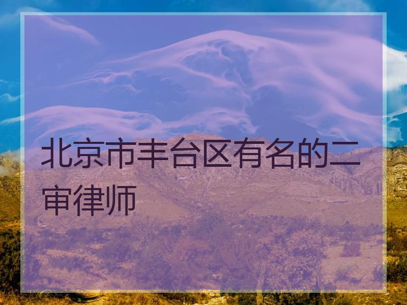 北京市丰台区有名的二审律师