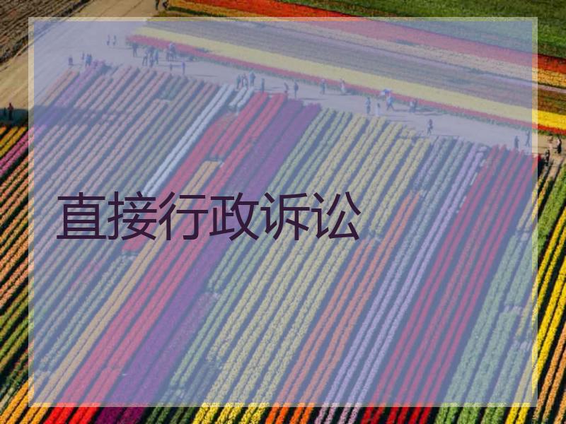 直接行政诉讼
