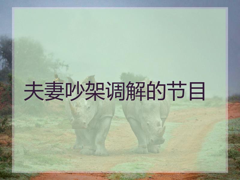 夫妻吵架调解的节目