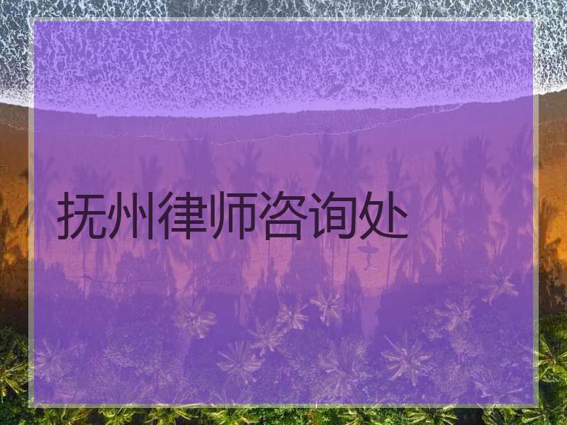 抚州律师咨询处