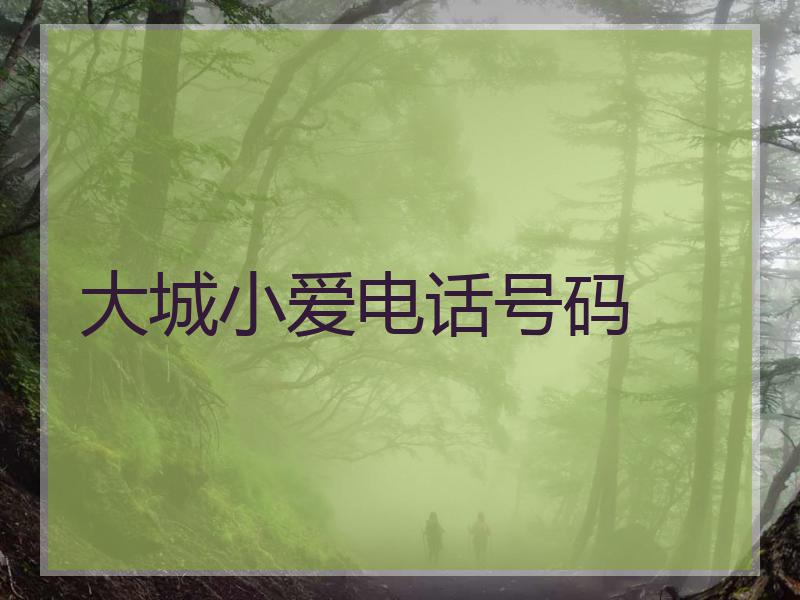 大城小爱电话号码