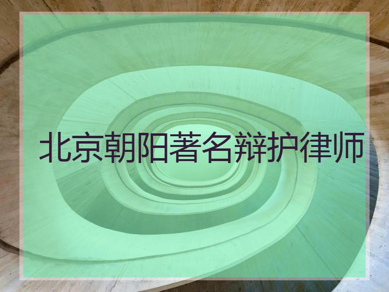 北京朝阳著名辩护律师