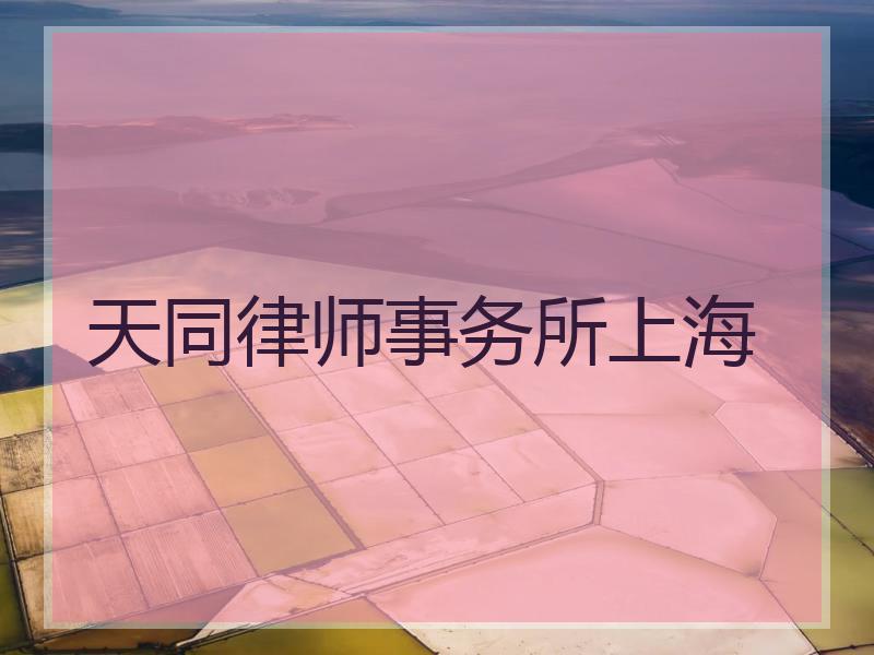 天同律师事务所上海