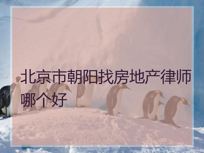 北京市朝阳找房地产律师哪个好
