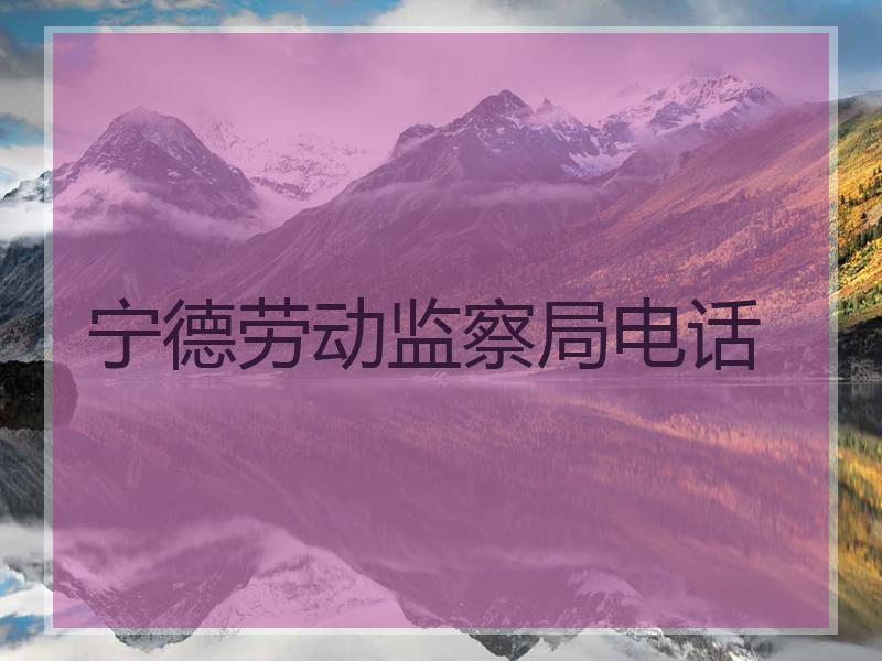 宁德劳动监察局电话