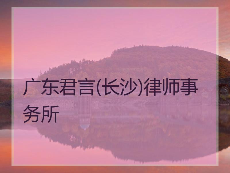 广东君言(长沙)律师事务所