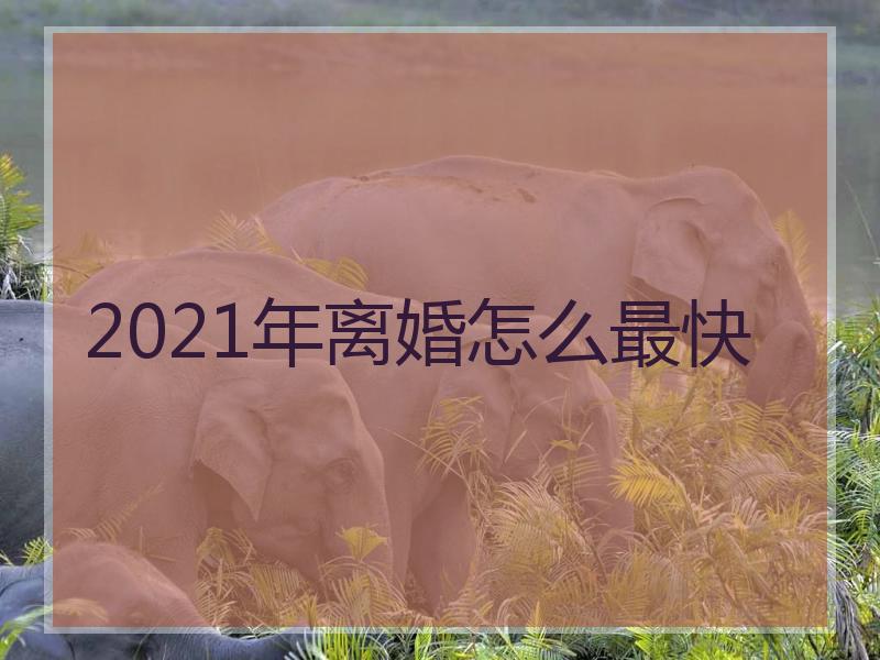 2021年离婚怎么最快