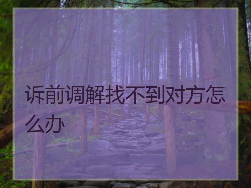 诉前调解找不到对方怎么办