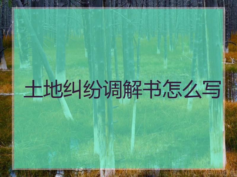 土地纠纷调解书怎么写