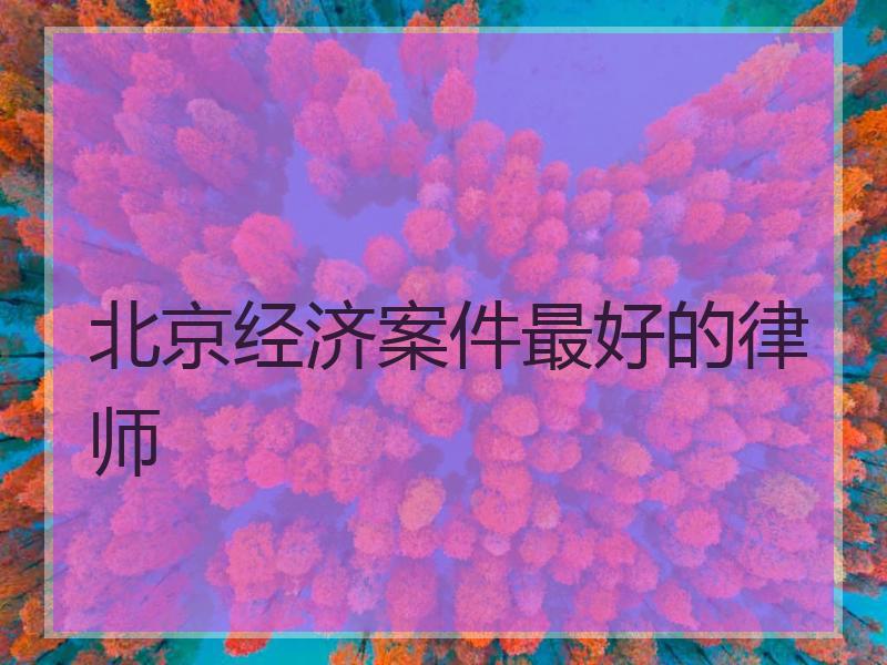 北京经济案件最好的律师