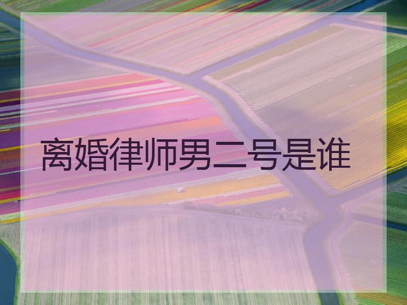 离婚律师男二号是谁