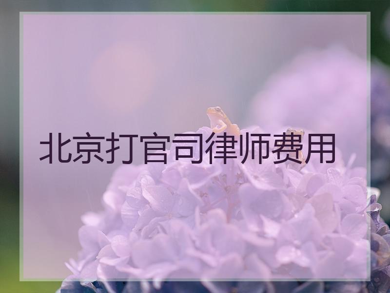 北京打官司律师费用