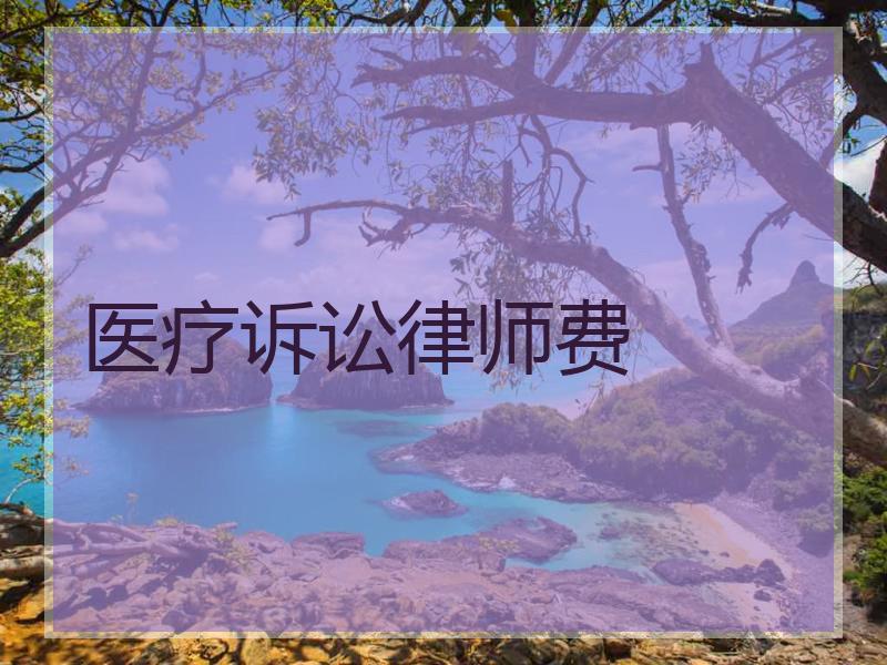 医疗诉讼律师费