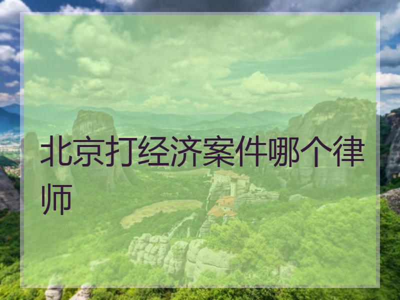 北京打经济案件哪个律师