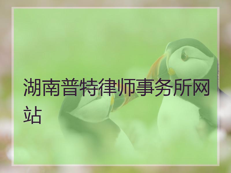 湖南普特律师事务所网站