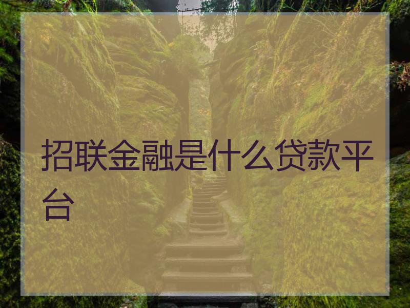 招联金融是什么贷款平台