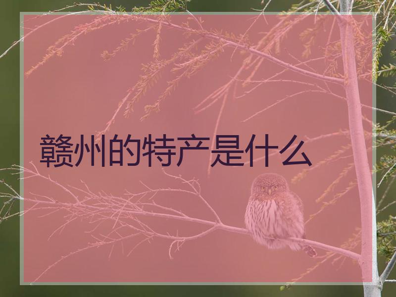 赣州的特产是什么