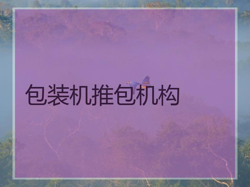 包装机推包机构