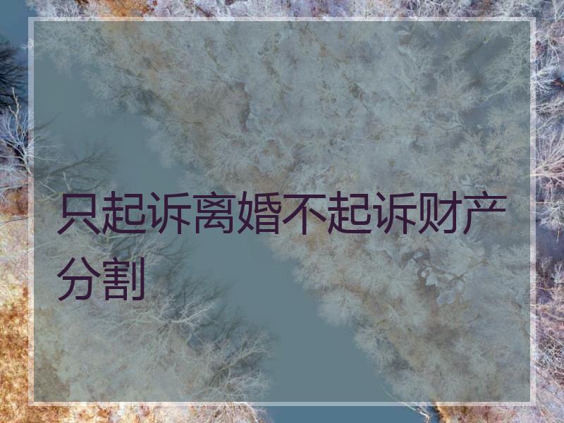 只起诉离婚不起诉财产分割