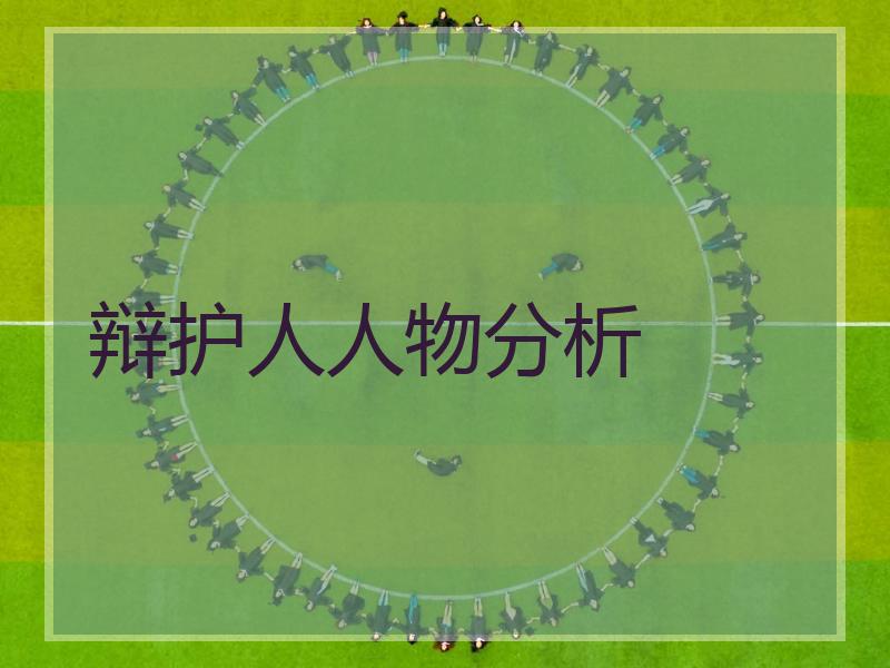 辩护人人物分析