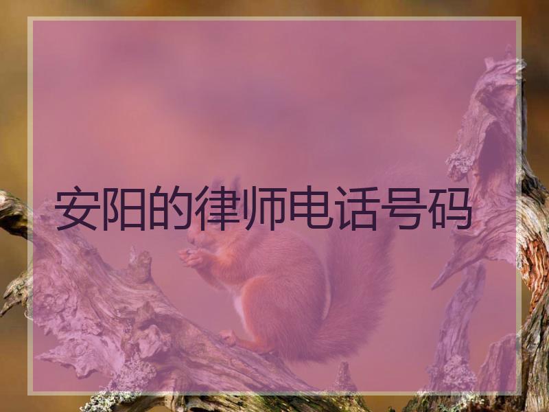 安阳的律师电话号码