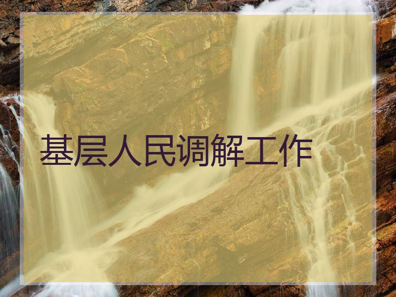 基层人民调解工作