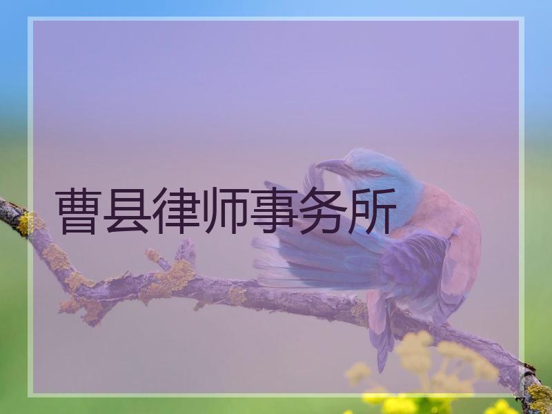 曹县律师事务所