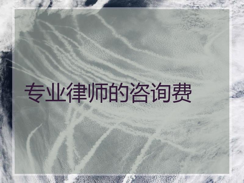 专业律师的咨询费